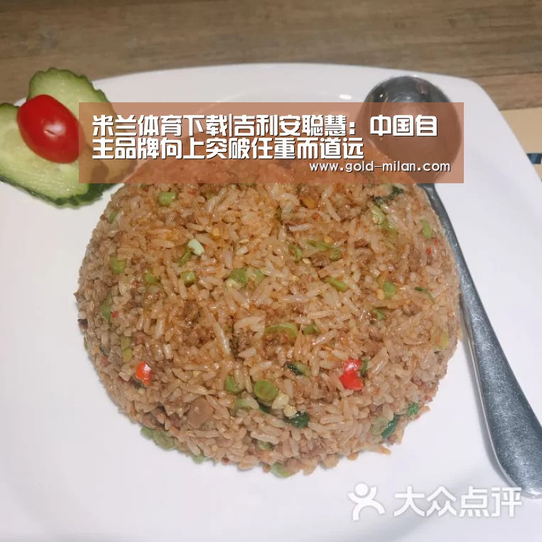 米兰体育下载|吉利安聪慧:中国自主品牌向上突破任重而道远(图1) 米兰体育网页版